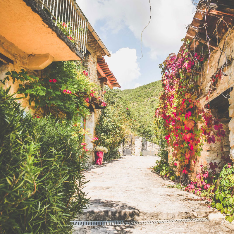 mariage nature dans un lieu de réception au coeur de la Provence